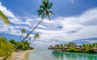 Tropical beach palm hut dock - a tropical beach free wallpaper