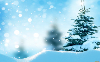 Christmas tree snow blue sky - a small christmas tree free wallpaper