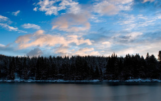 Lake trees cloudy sky winter - a lake free wallpaper