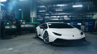 White lamb car garage pipes - the car free wallpaper