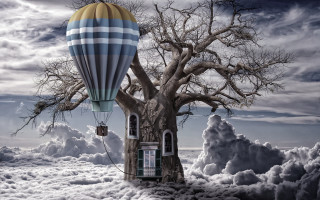 Hot air balloon over tree - surreal photography free wallpaper