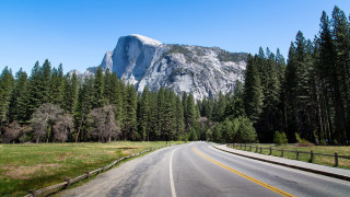 Mountain road forest trees fence - both side of it free wallpaper