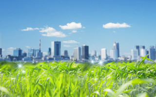 City skyline field bright green - green grass free wallpaper for desktop