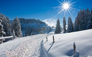 Snow mountain sun trees trail - a snow free wallpaper