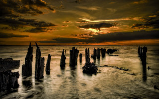 Sunset ocean pier birds hudson - a few bird free wallpaper