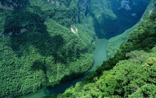 River valley green trees mountains - river free wallpaper