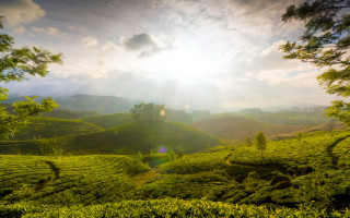 Lush green hillside sunshine cloudy - the cloud above free wallpaper