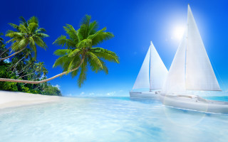 Sailboat boat tropical beach palm - tropical free wallpaper