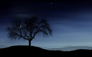 Tree hill star mountain night - david martin free wallpaper for desktop