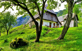 Small house hill tree rock - alen divi free wallpaper