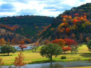 Scenic river mountain trees foreground - scenic free wallpaper