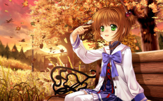 Girl bench park autumn leaves - a bench in a park free wallpaper