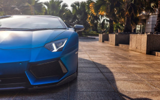 Blue sports car palm trees 3 - a blue sports car free wallpaper for desktop