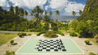Large chessboard garden palm trees - a path free wallpaper
