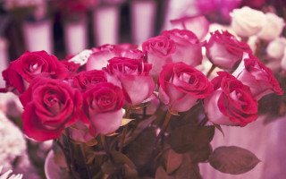 Pink roses vase piano background - a vase free wallpaper