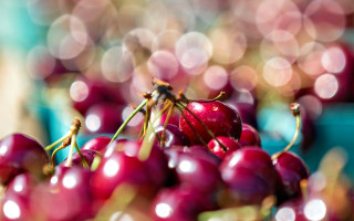 Cherry bokeh light background food - a close up of a bunch free wallpaper