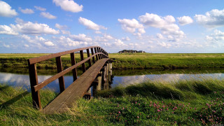Wooden bridge river field flowers - a sky background free wallpaper for desktop