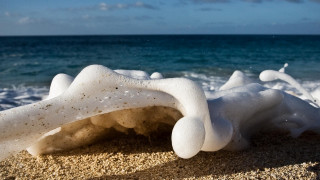 White sand beach surrealist sculpture - macro art free wallpaper