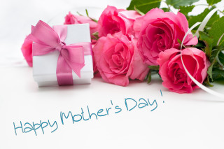 Pink rose gift box mothers - a pink rose free wallpaper