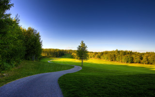Winding road green field trees - road free wallpaper