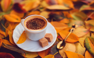 Coffee leaves spoon autumn bokeh - a spoon free wallpaper