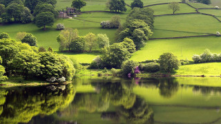Lake green hills trees house - lush green hill and trees free wallpaper