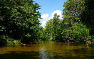 River forest rocks sky nature - the middle of a forest area free wallpaper