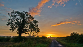 Tree road sunset clouds horizon - a tree in the foreground free wallpaper