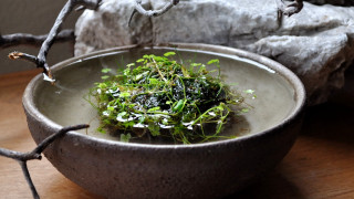 Bowl green food table rock - a bowl of food free wallpaper