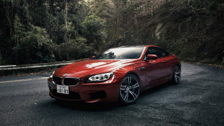 Red car forest road night - a license plate free wallpaper