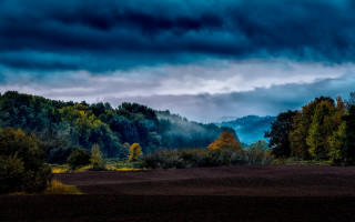 Field forest clouds matte painting - rich moody colour free wallpaper
