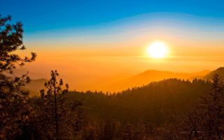 Sunset mountain forest trees sky - sunrise free wallpaper