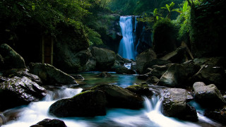 Waterfall forest rocks trees stream 3 - a waterfall in a forest free wallpaper