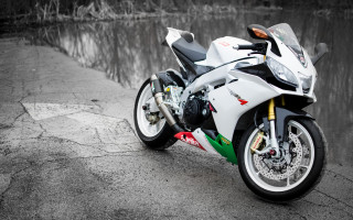 White motorcycle water road trees - wet free wallpaper