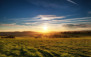 Sunset field clouds trees ocean - a sunset in the background free wallpaper for desktop