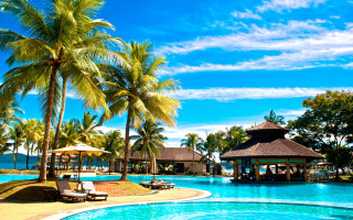 Resort pool gazebo lounge chairs - palm tree free wallpaper