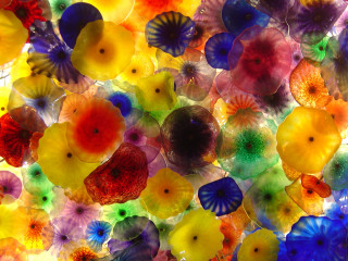 Colorful glass flowers hanging ceiling - interactive free wallpaper