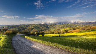 Dirt road green field mountains 6 - a green field free wallpaper
