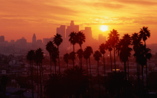 City skyline palm trees sunset 2 - palm tree and a sunset in the background free wallpaper