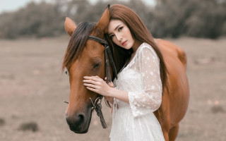 Woman white dress horse field 2 - fei danxu free wallpaper