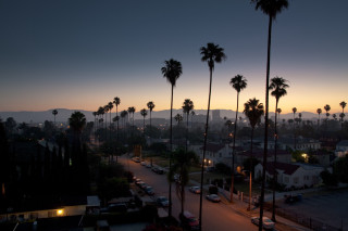 Palm trees sunset street buildings - elbridge ayer burbank free wallpaper