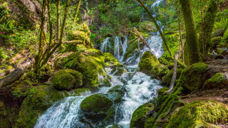 Small waterfall mossy rocks forest 3 - a small waterfall in a forest free wallpaper