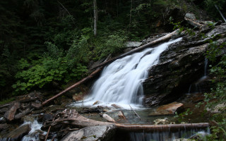 Waterfall forest rocks trees fallen - fallen free wallpaper