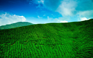 Green hill blue sky clouds 6 - ella guru free wallpaper