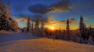 Sunset mountains snow trees walking - the ground in front free wallpaper