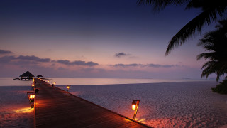 Pier lights night beach dusk - a pier free wallpaper