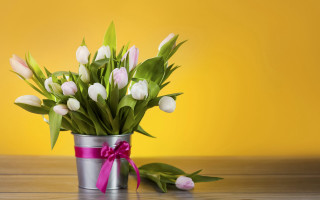 Tulips tin can pink ribbon - a pink ribbon free wallpaper