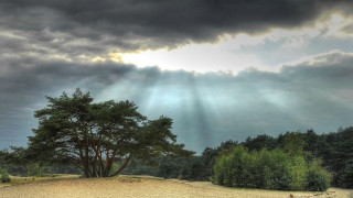 Tree field sky sunbeams bench - the cloud above free wallpaper