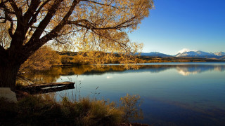Autumn tree lake mountains boat - beautiful scenery free wallpaper for desktop