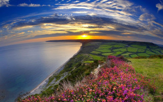 Sunset grassy hill flower water 2 - beautiful free wallpaper